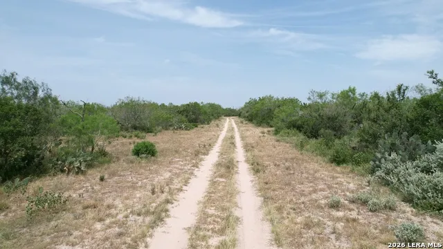 0 Hwy 359 Benavides, TX 78341