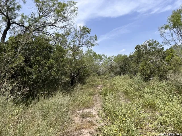 0 Hwy 359 Benavides, TX 78341