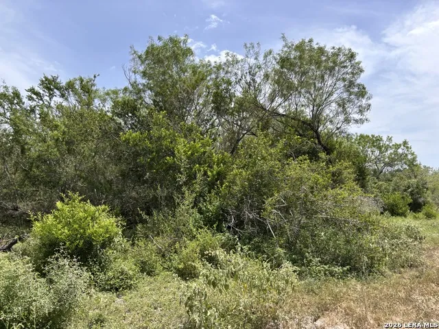0 Hwy 359 Benavides, TX 78341