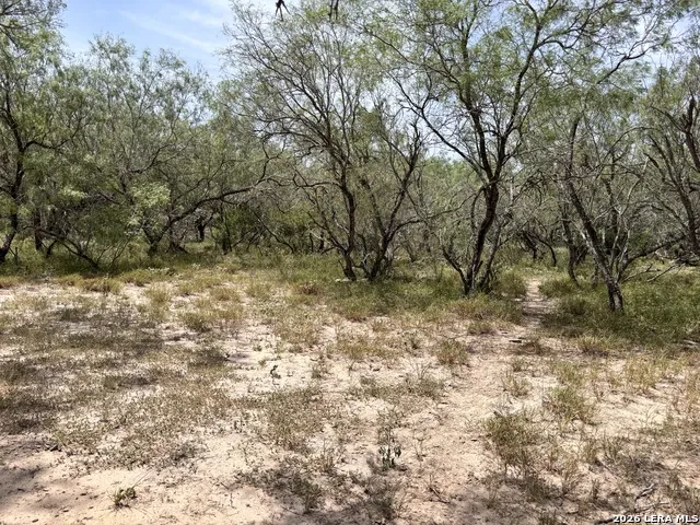 0 Hwy 359 Benavides, TX 78341
