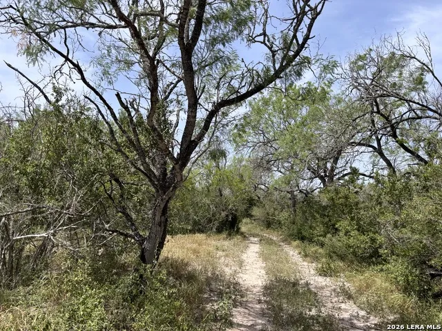 0 Hwy 359 Benavides, TX 78341