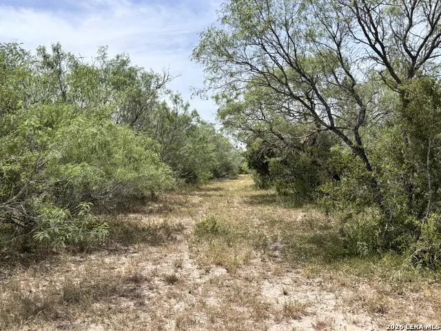 0 Hwy 359 Benavides, TX 78341