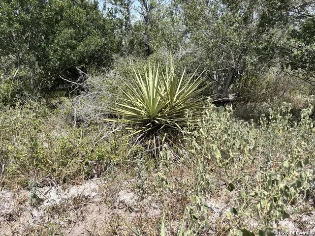 0 Hwy 359 Benavides, TX 78341