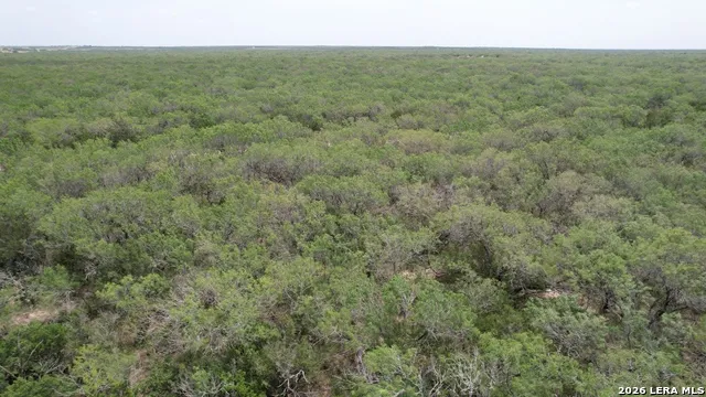 0 Hwy 359 Benavides, TX 78341