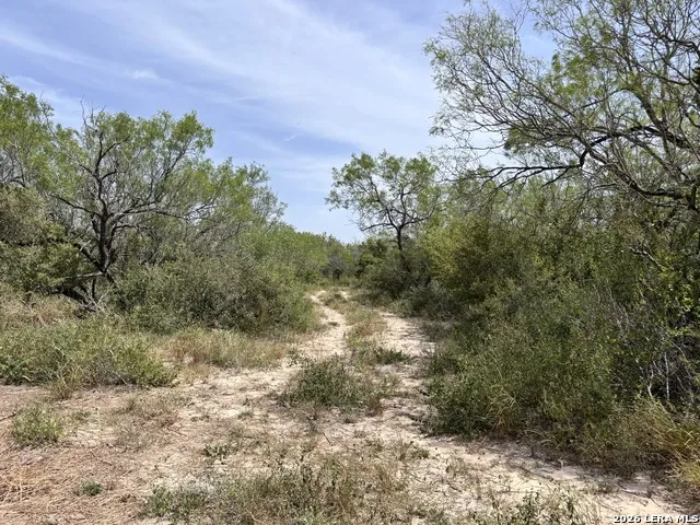 0 Hwy 359 Benavides, TX 78341