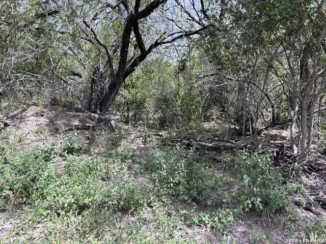 0 Hwy 359 Benavides, TX 78341