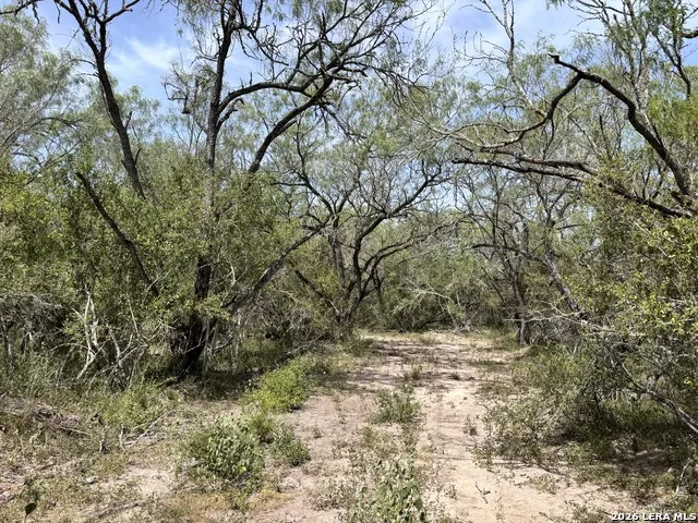 0 Hwy 359 Benavides, TX 78341