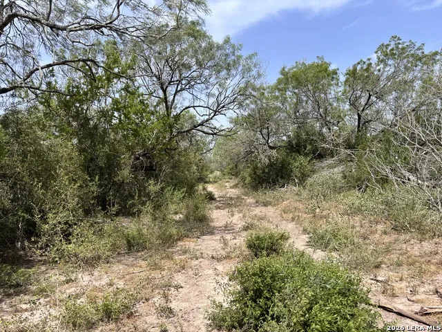 0 Hwy 359 Benavides, TX 78341