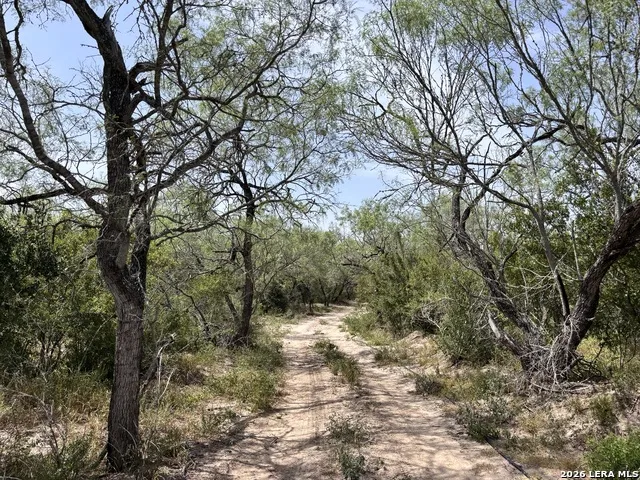 0 Hwy 359 Benavides, TX 78341