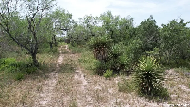 0 Hwy 359 Benavides, TX 78341
