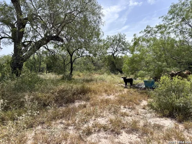 0 Hwy 359 Benavides, TX 78341