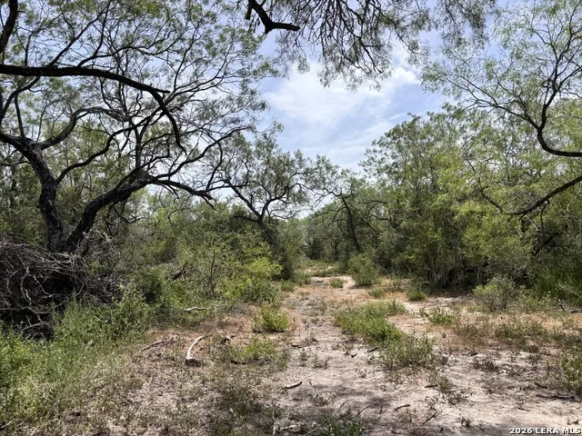 0 Hwy 359 Benavides, TX 78341