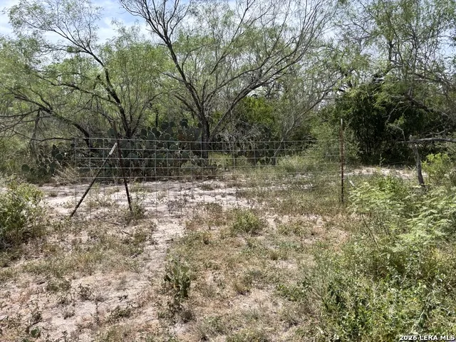 0 Hwy 359 Benavides, TX 78341
