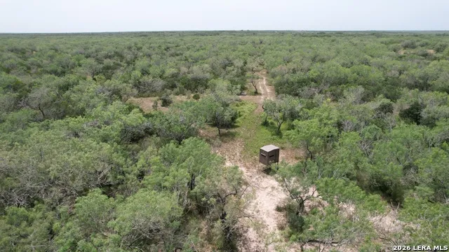 0 Hwy 359 Benavides, TX 78341
