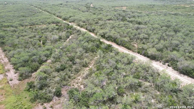0 Hwy 359 Benavides, TX 78341