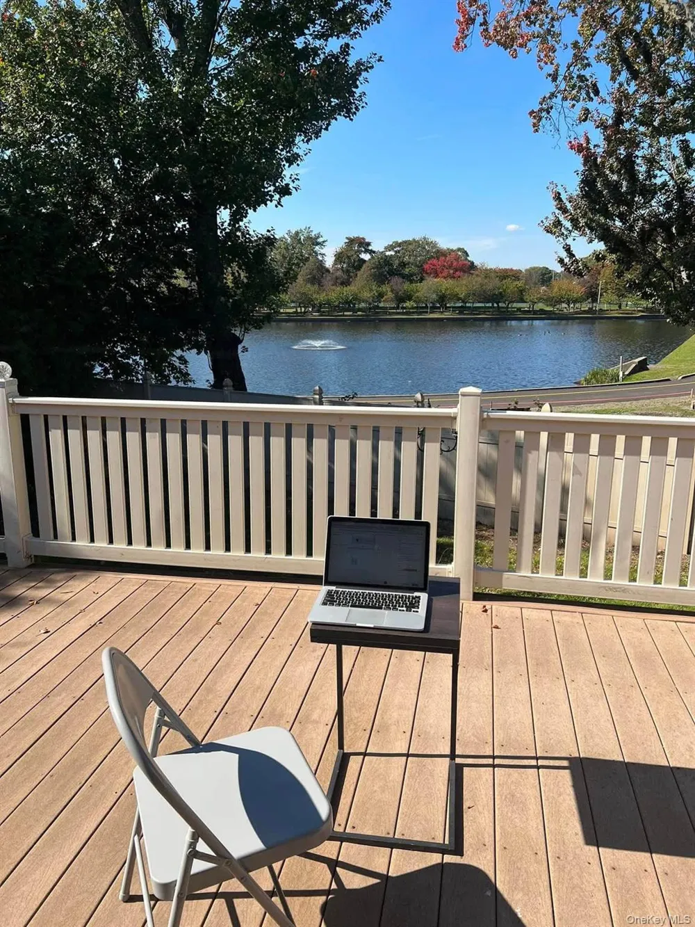 220 Corona Avenue #1 Valley Stream, NY 11580