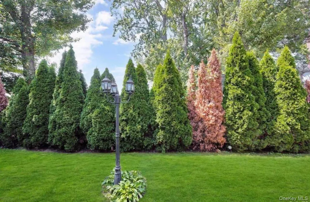 220 Corona Avenue #1 Valley Stream, NY 11580