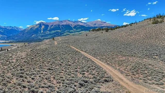 483 Mount Hope Drive Twin Lakes, CO 81251