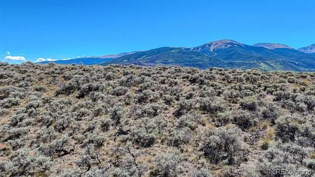 483 Mount Hope Drive Twin Lakes, CO 81251