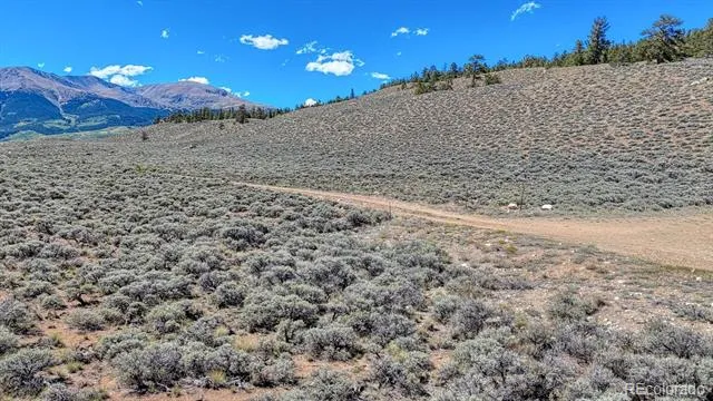 483 Mount Hope Drive Twin Lakes, CO 81251