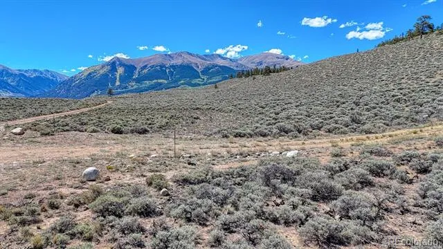 483 Mount Hope Drive Twin Lakes, CO 81251