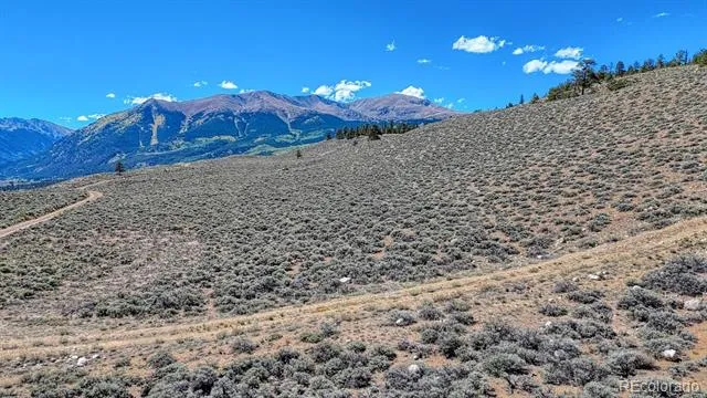 483 Mount Hope Drive Twin Lakes, CO 81251
