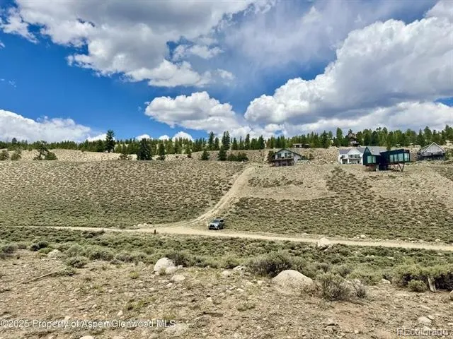 483 Mount Hope Drive Twin Lakes, CO 81251