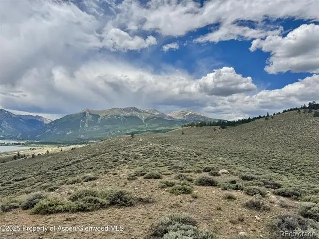 483 Mount Hope Drive Twin Lakes, CO 81251