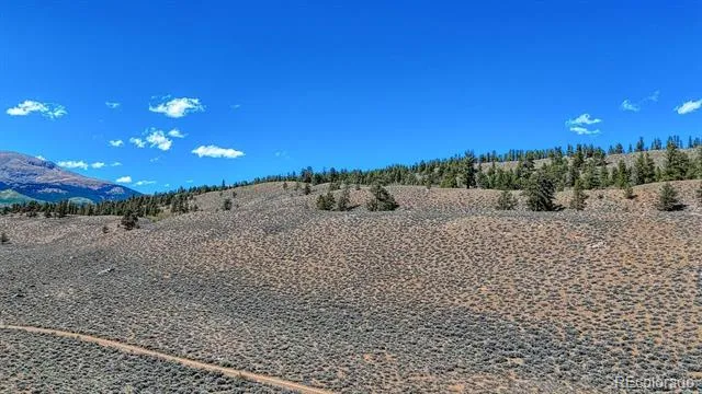 483 Mount Hope Drive Twin Lakes, CO 81251