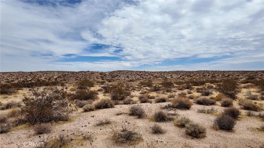 Locust Road Boron, CA 93516