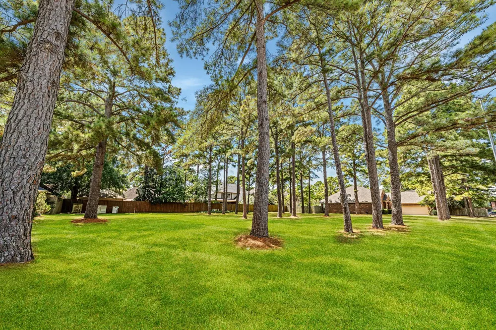 18314 Timber Strand Drive Houston, TX 77084