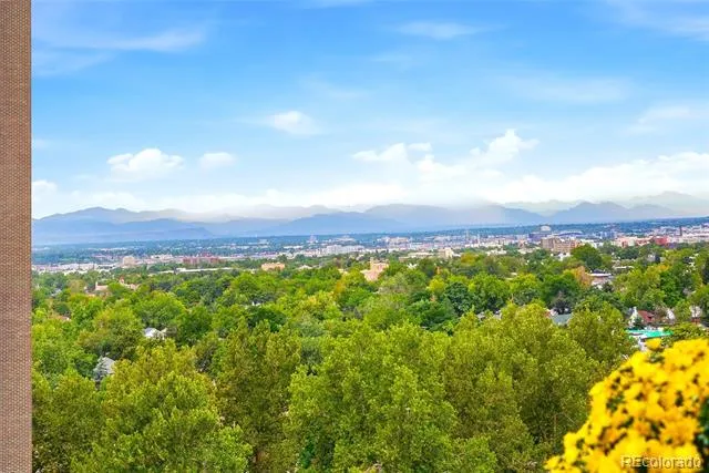 400 S Lafayette Street #1206 Denver, CO 80209