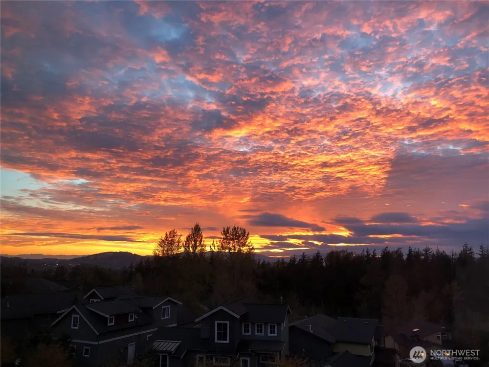 3414 Sussex Drive Bellingham, WA 98226