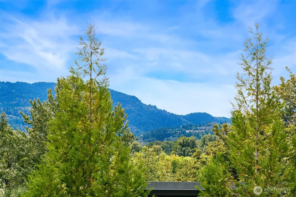21216 SE 42nd Lane Issaquah, WA 98029
