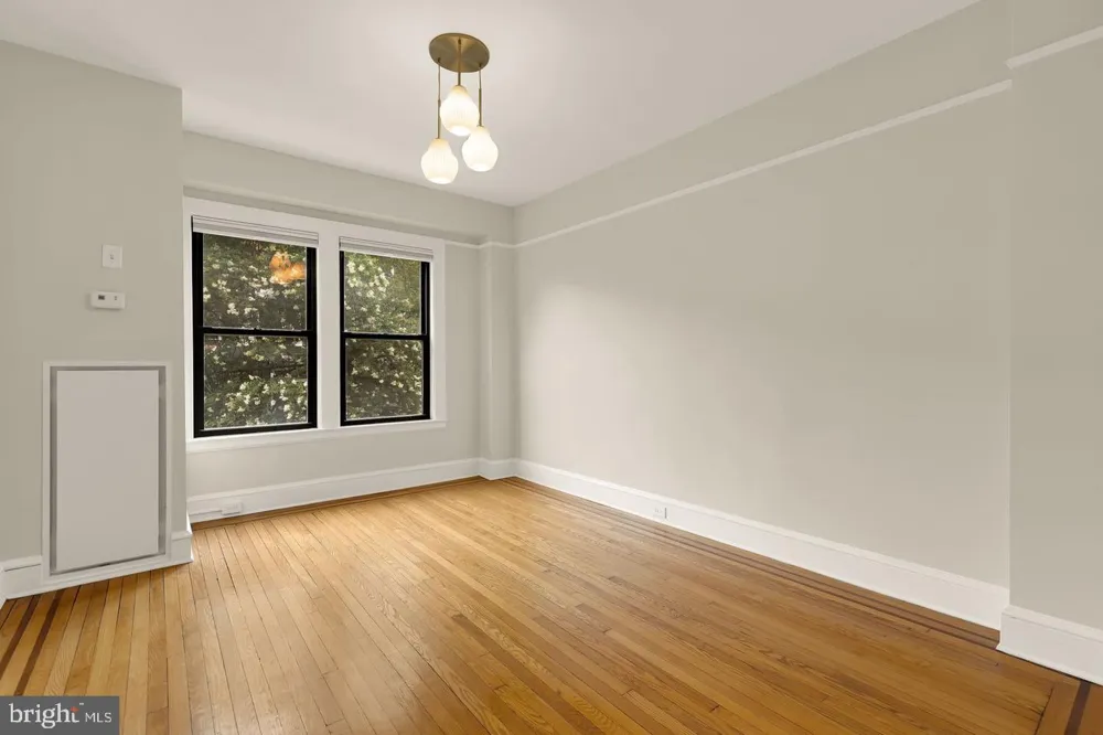 1613 HARVARD STREET NW #215 Washington, DC 20009