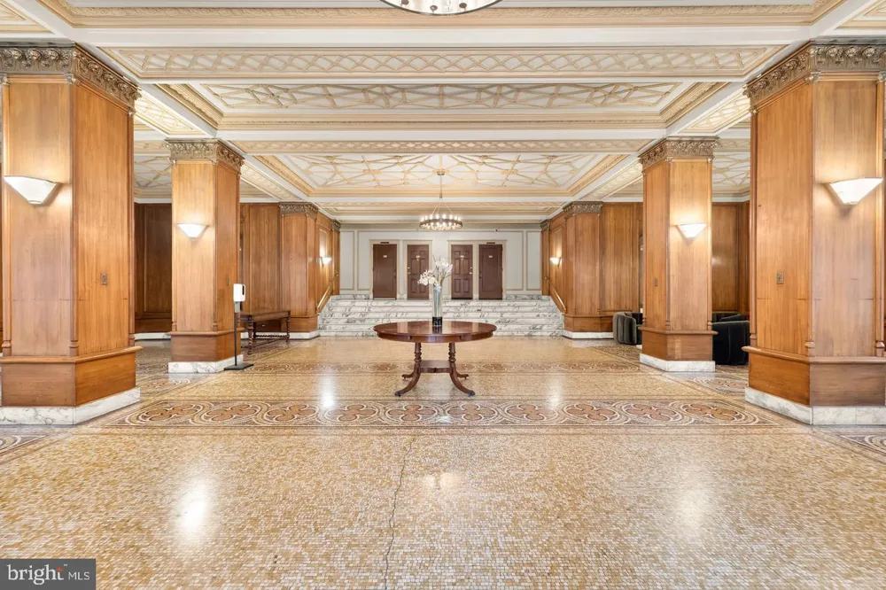 1613 HARVARD STREET NW #215 Washington, DC 20009