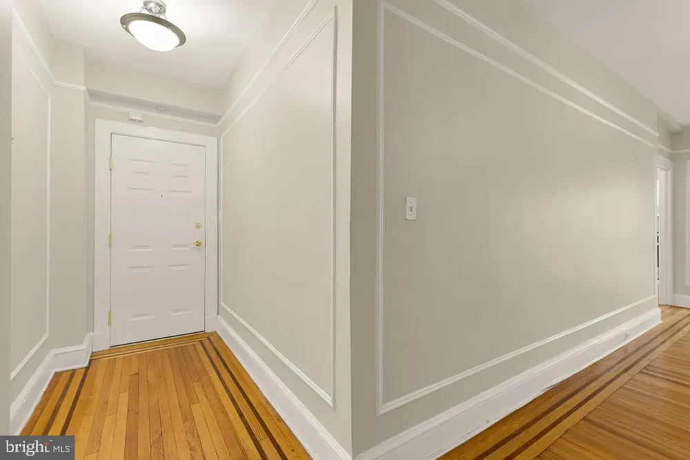 1613 HARVARD STREET NW #215 Washington, DC 20009