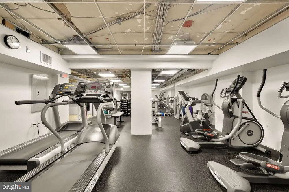 1613 HARVARD STREET NW #215 Washington, DC 20009