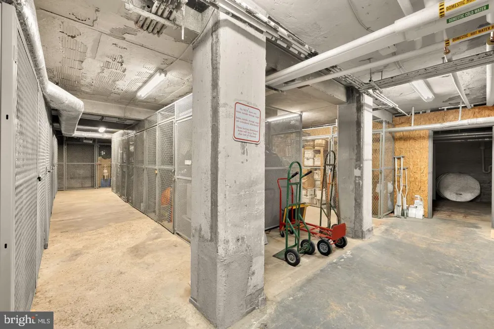 1613 HARVARD STREET NW #215 Washington, DC 20009