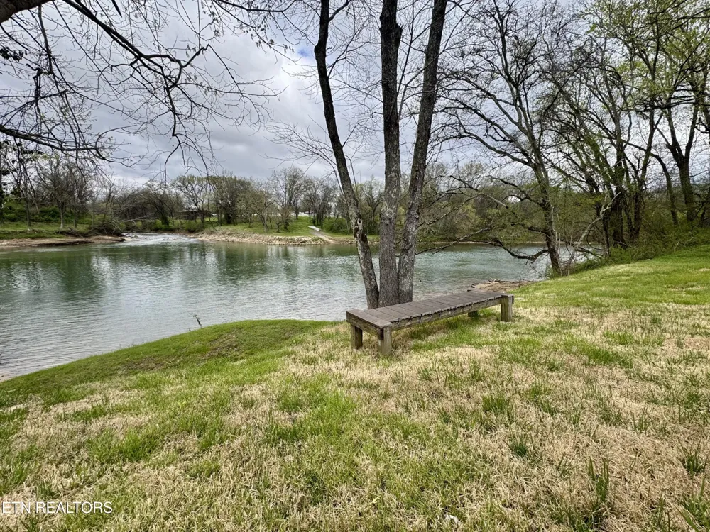 8660 Shackleford Lane Strawberry Plains, TN 37871