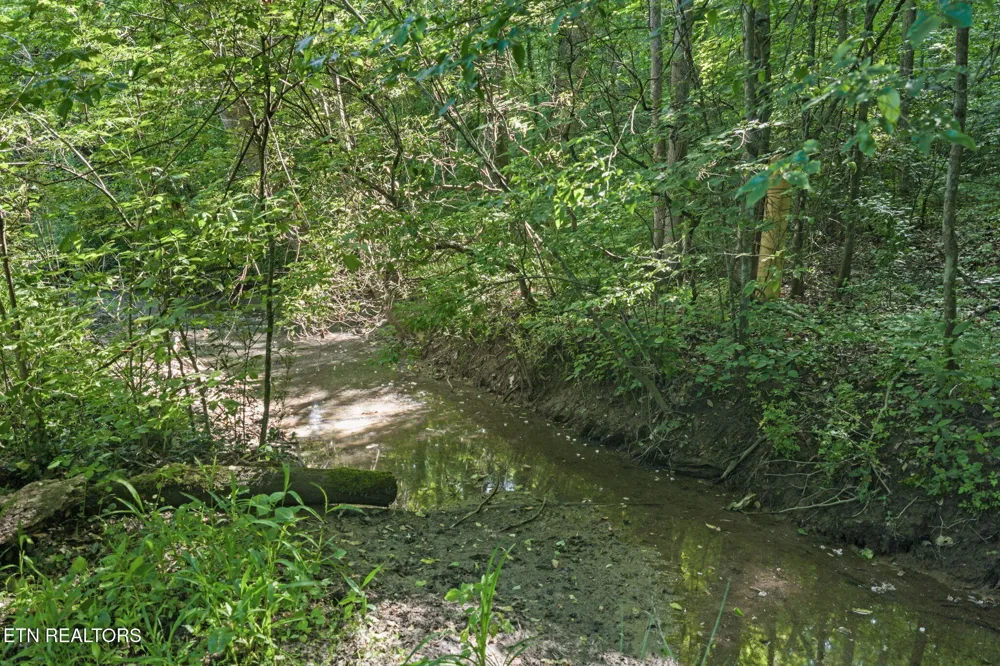 369 Back Valley Rd Oliver Springs, TN 37840