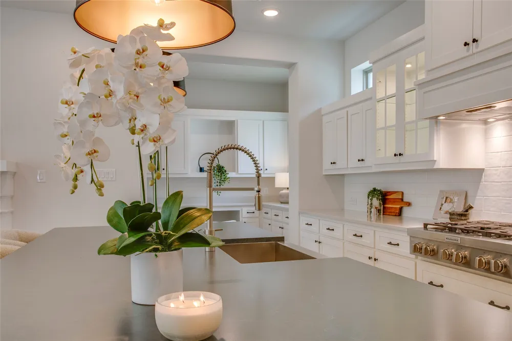 1332 Island Vista Drive Arlington, TX 76005