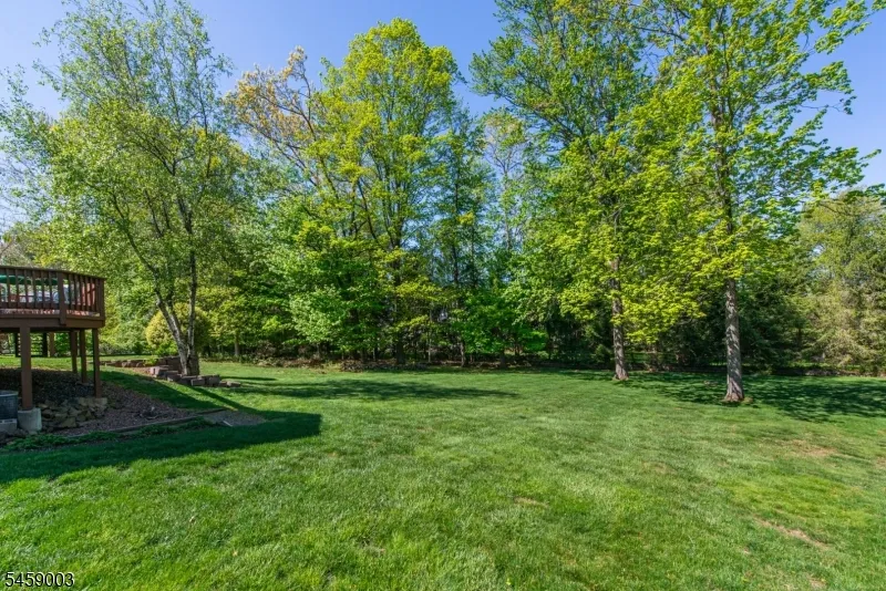 10 Weiss Dr Montville, NJ 07082