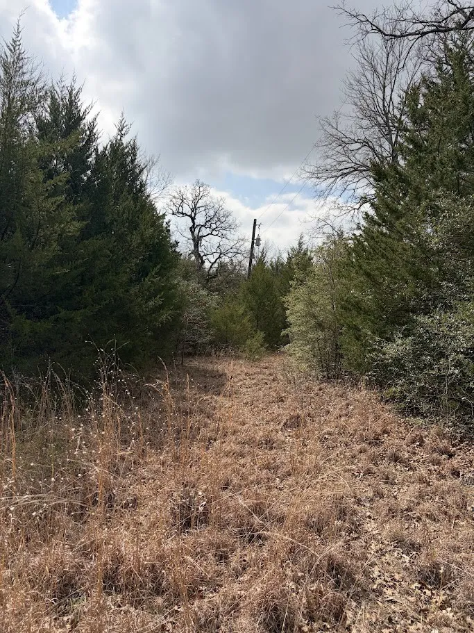 County Road 506 Fairfield, TX 75840