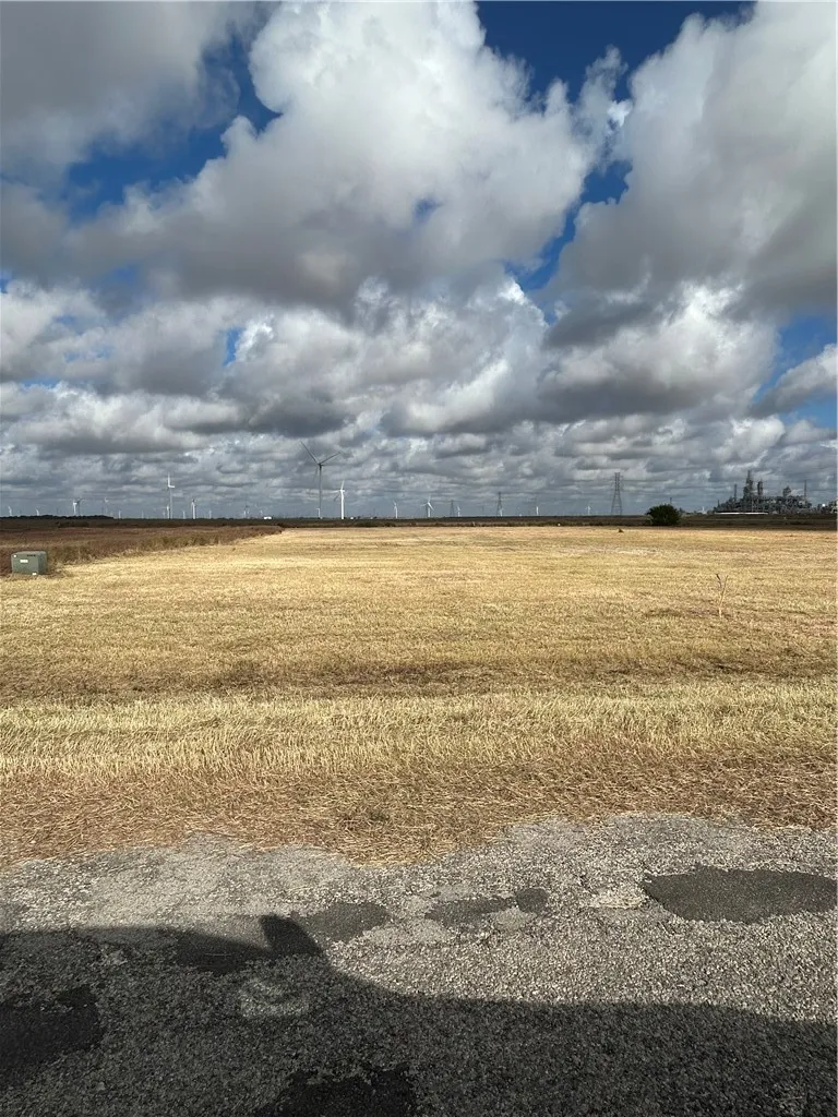 4319 Kestrel Lane Portland, TX 78374