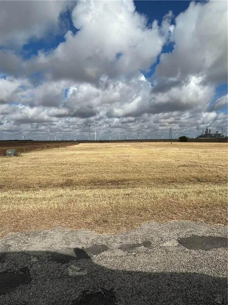 4319 Kestrel Lane Portland, TX 78374