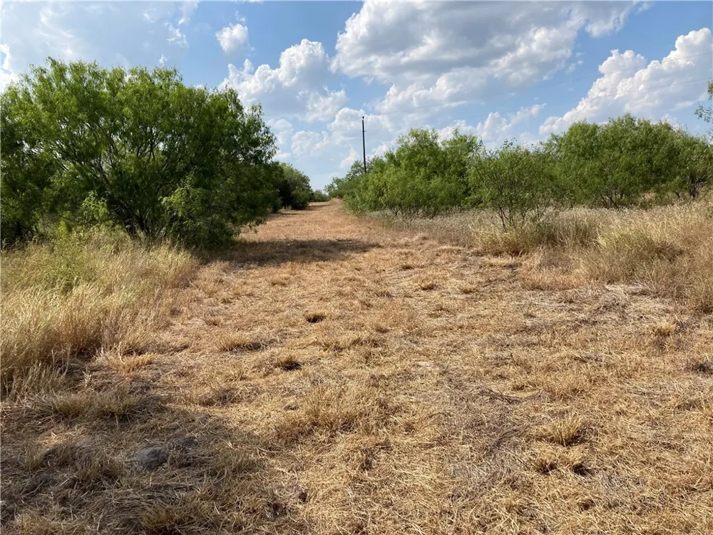 158 CR 117 San Diego, TX 78384