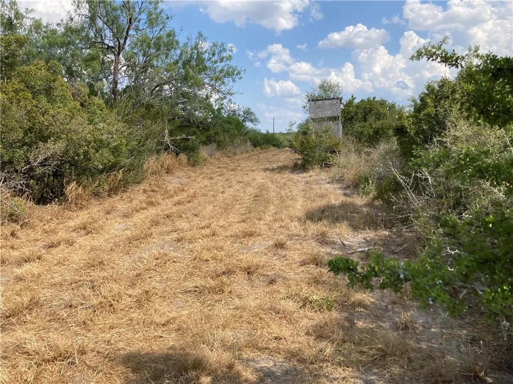 158 CR 117 San Diego, TX 78384
