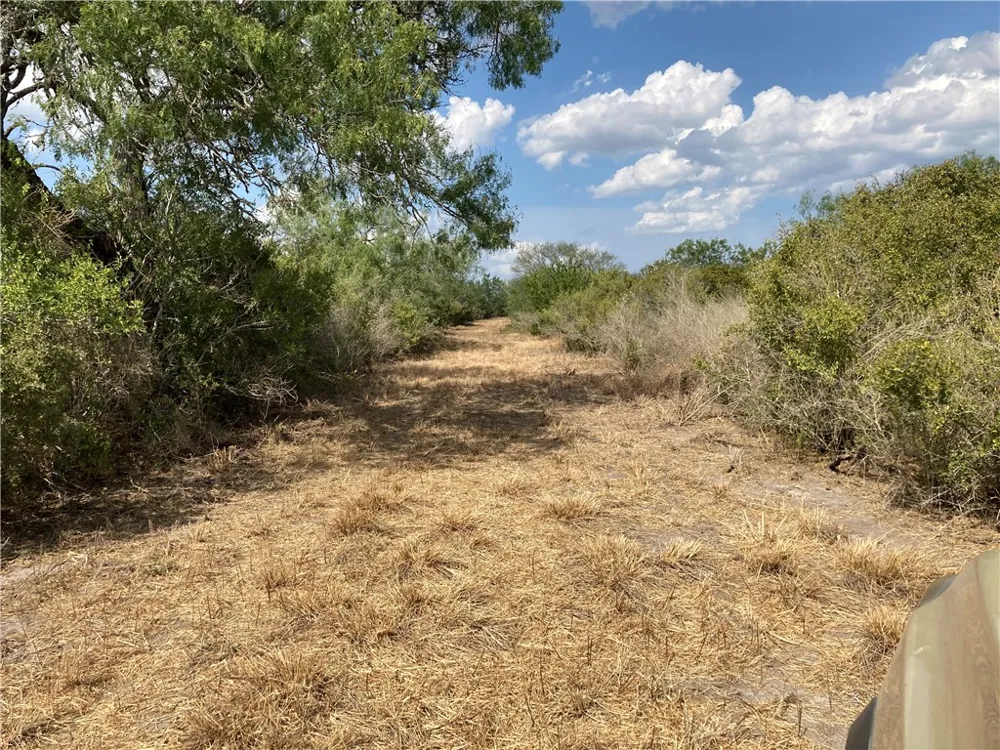 158 CR 117 San Diego, TX 78384