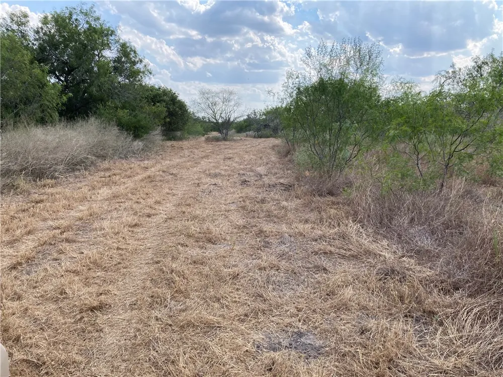 158 CR 117 San Diego, TX 78384
